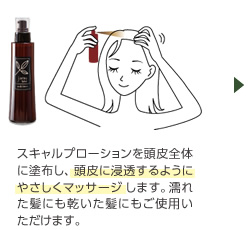 スキャルプローションを頭皮全体に塗布し、頭皮に浸透するようにやさしくマッサージします。濡れた髪にも乾いた髪にもご使用いただけます。