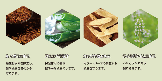 ホームケア・ヘアデトックス