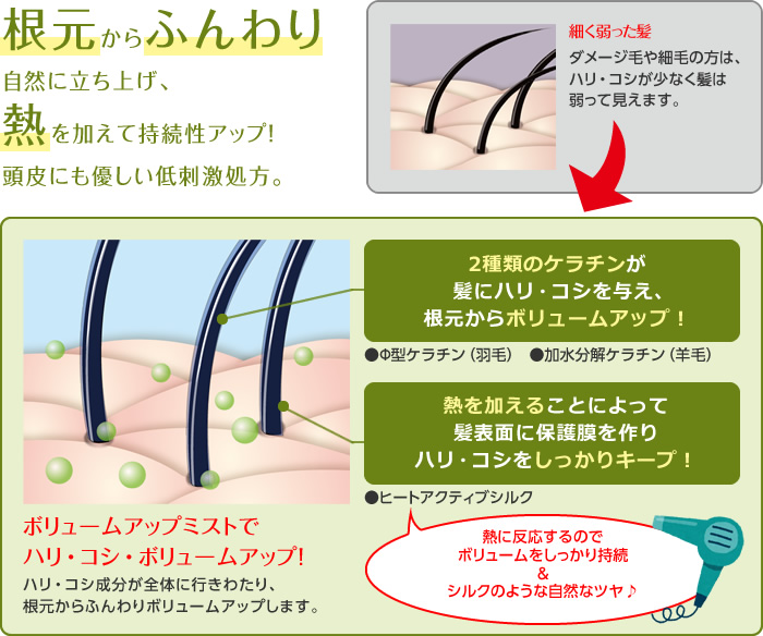 根元からふんわり自然に立ち上げ、熱を加えて持続性アップ！頭皮にも優しい低刺激処方。　【細く弱った髪／ダメージ毛や細毛の方は、ハリ・コシが少なく髪は弱って見えます。】→【ボリュームアップミストでハリ・コシ・ボリュームアップ！ハリ・コシ成分が全体に行きわたり、根元からふんわりボリュームアップします。】（2種類のケラチンが髪にハリ・コシを与え、根元からボリュームアップ！　●Φ型ケラチン（羽毛）　●加水分解ケラチン（羊毛））（熱を加えることによって髪表面に保護膜を作りハリ・コシをしっかりキープ！　●ヒートアクティブシルク）熱に反応するのでボリュームをしっかり持続＆シルクのような自然なツヤ♪