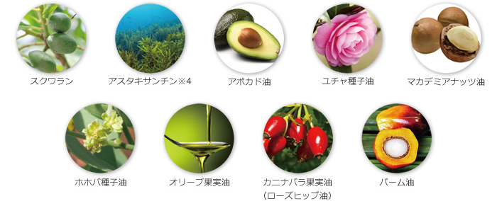 ９種類の天然オイルの理由